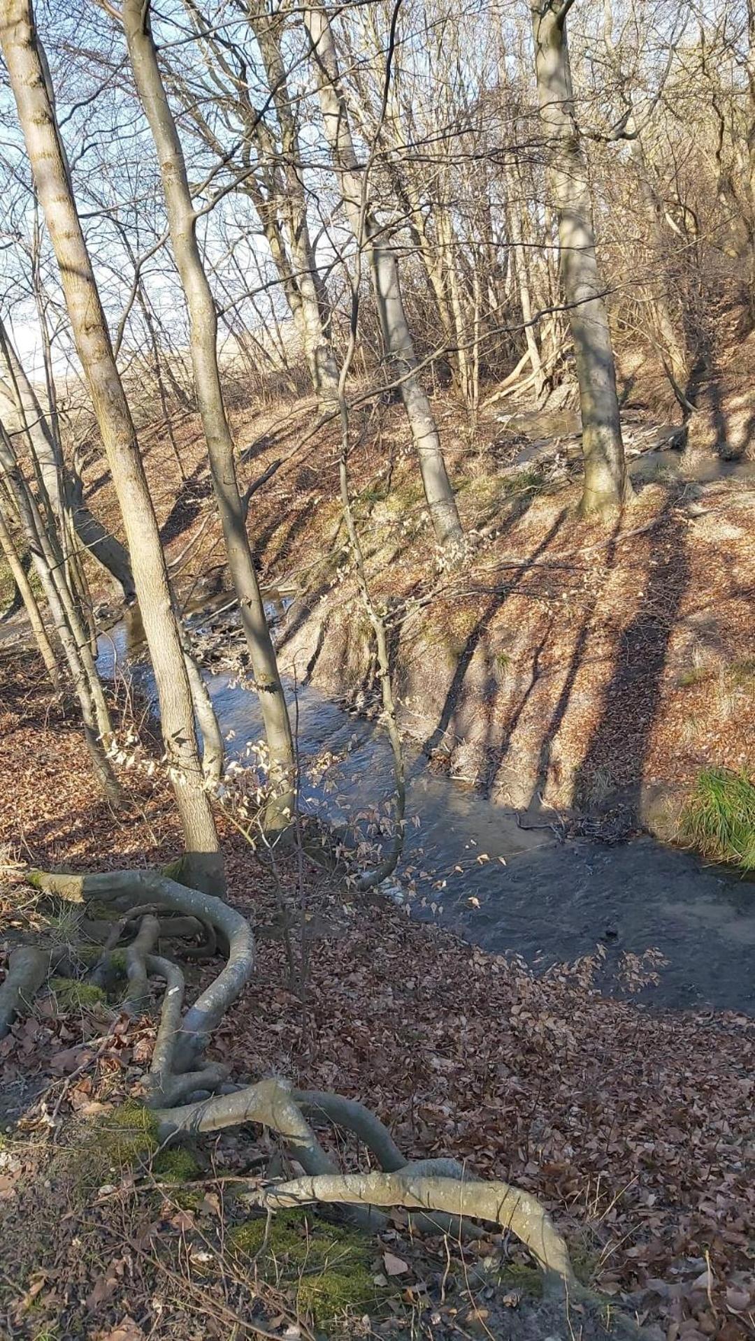 Ferienhaus An Der Brunnenaue 4 Sterne, E-Ladestation Am Haus, Wlan, Netflix, Garten サガルト エクステリア 写真